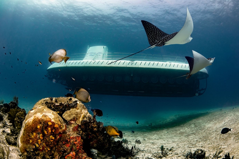 Submarino Atlantis Cozumel | Tours en Cozumel