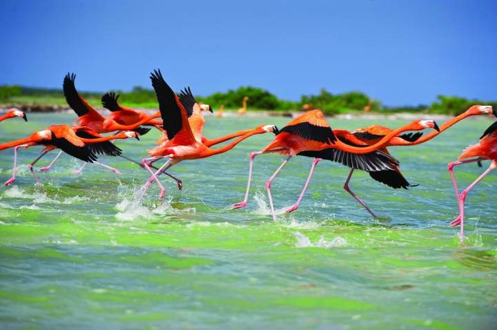 Las Coloradas