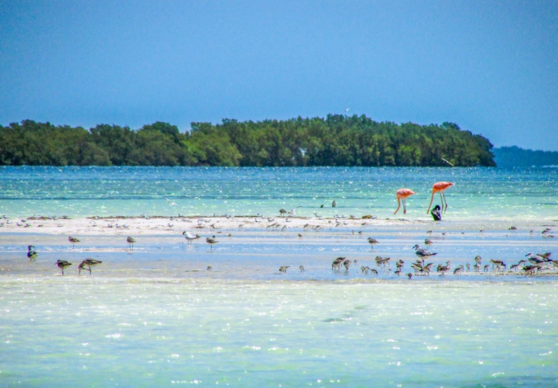 Tour Holbox