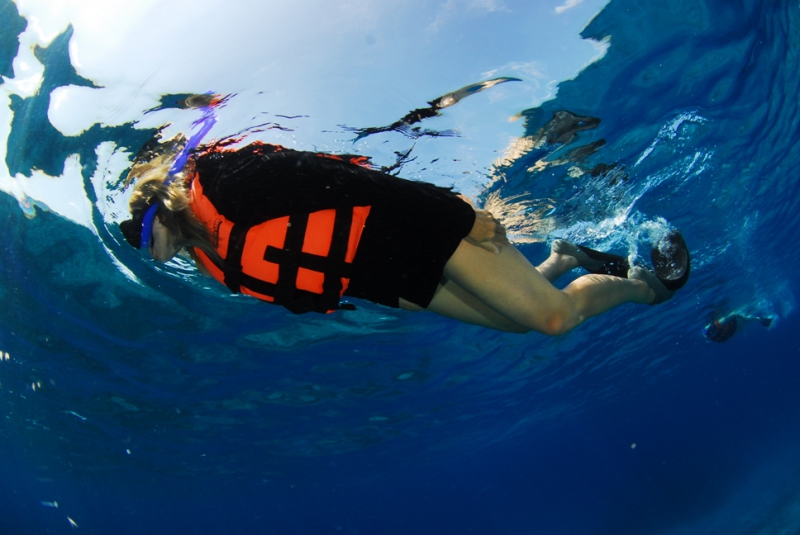 Snorkeling In Cozumel