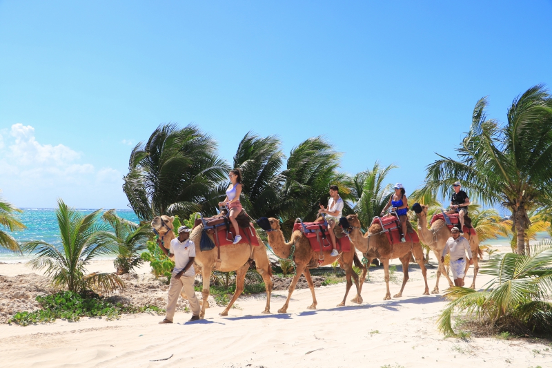 Speed Boat & Camel Caravan