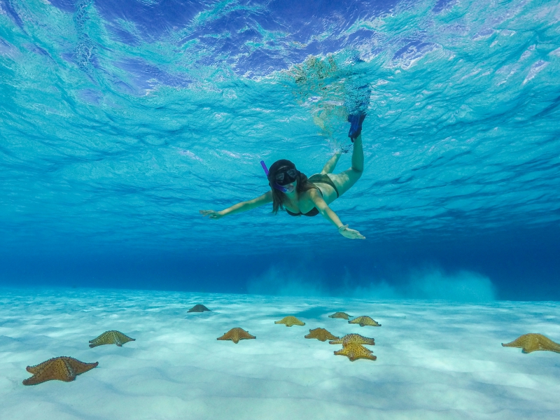 Cozumel Snorkel Tour: Coral Reefs, El Cielo & Beach Break