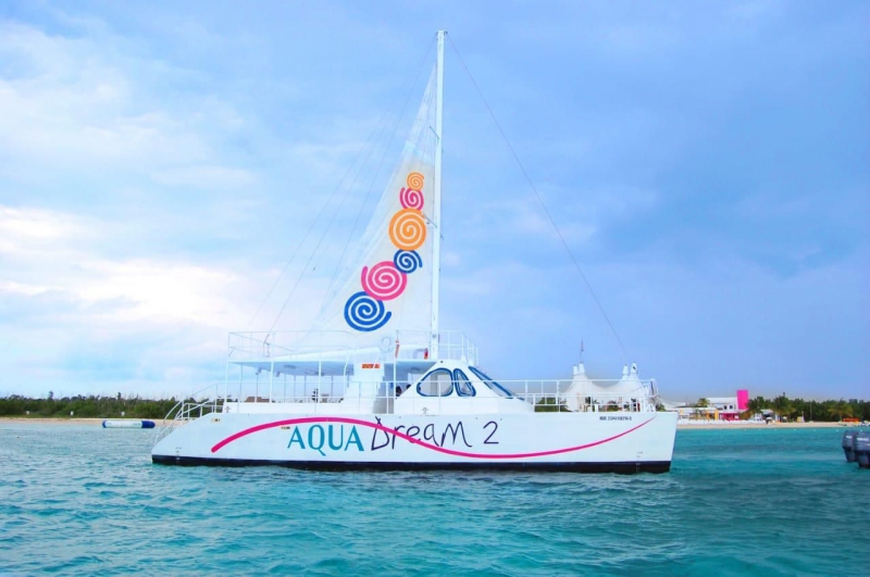Cozumel Snorkel Tour: Coral Reefs, El Cielo & Beach Break