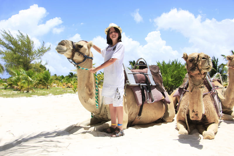 Parasailing & Camel Caravan