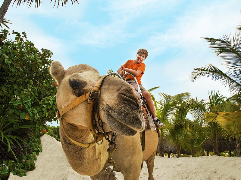 Speed Boat & Camel Caravan