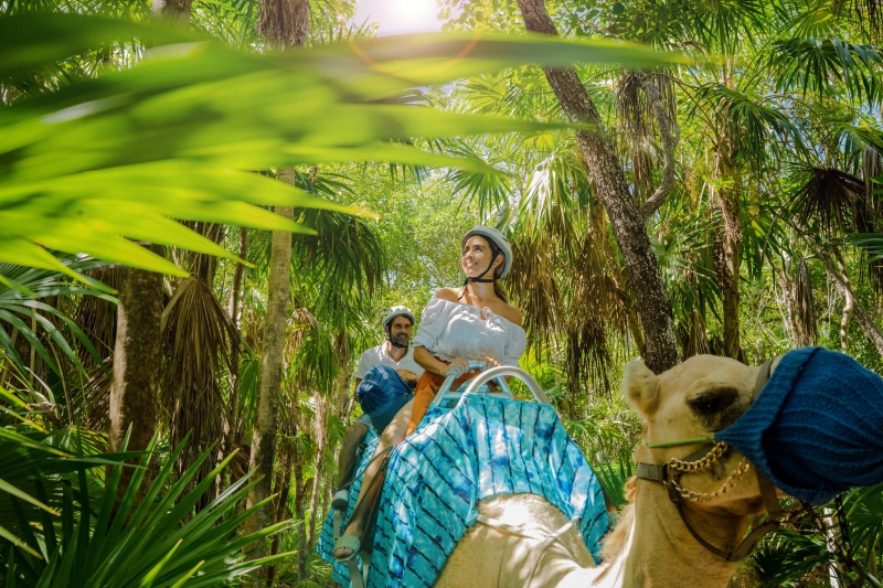 Speed Boat & Camel Caravan