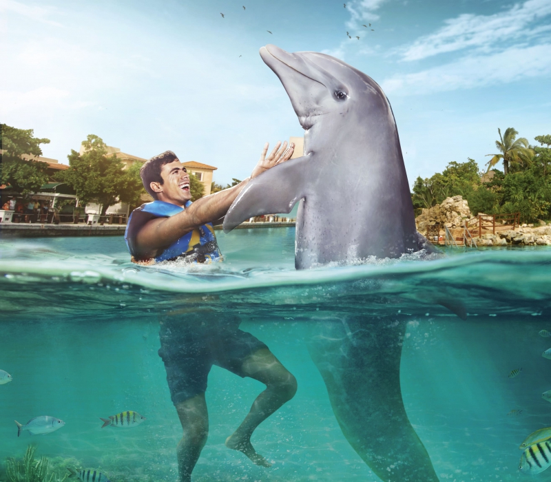 Akumal Dolphin Encounter