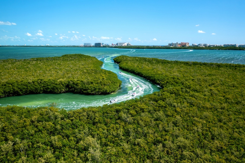 Puerto Maya Jungle Tour