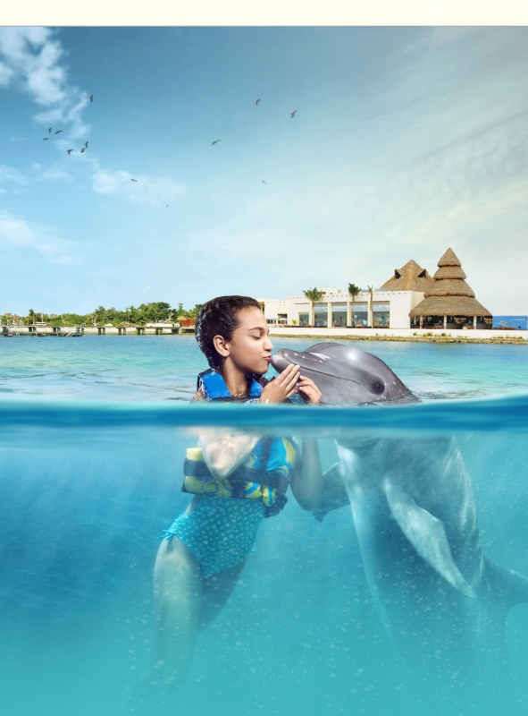 Cozumel Dolphin Royal Swim