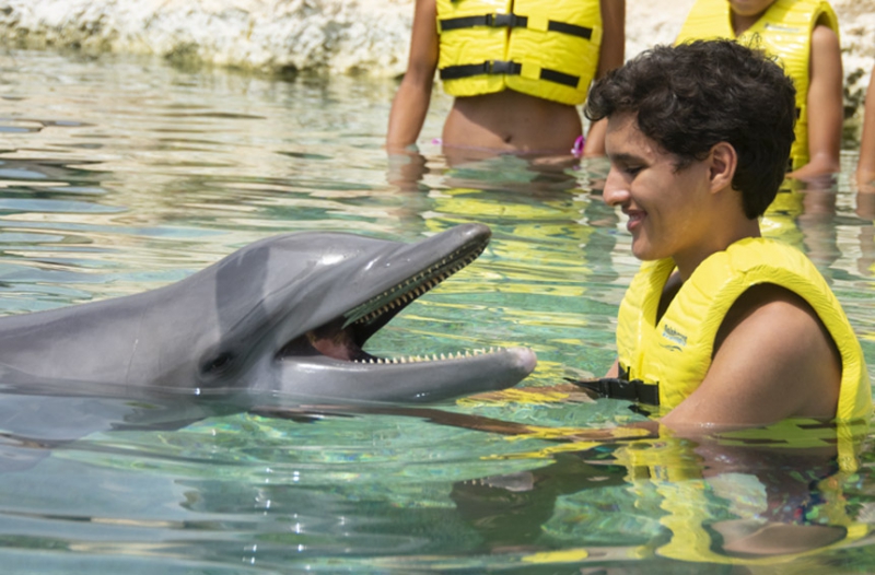Dolphin Interaction Adventure All Inclusive Cozumel