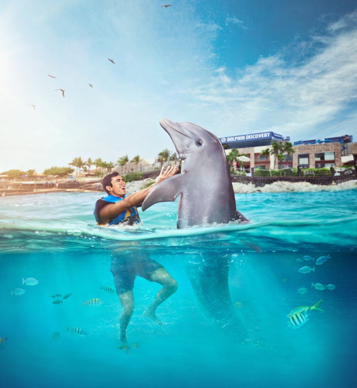 Isla Mujeres Dolphin Swim Adventure
