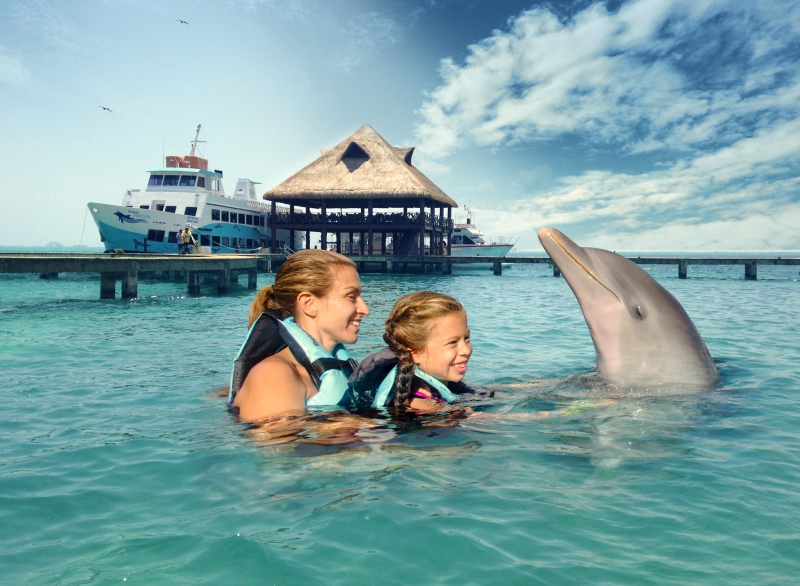 Puerto Aventuras Dolphin Encounter