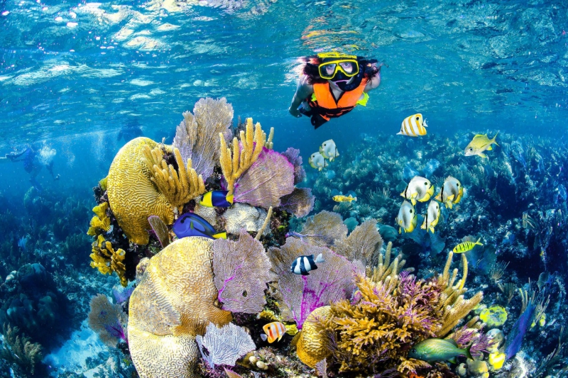Native Park Puerto Morelos Snorkel