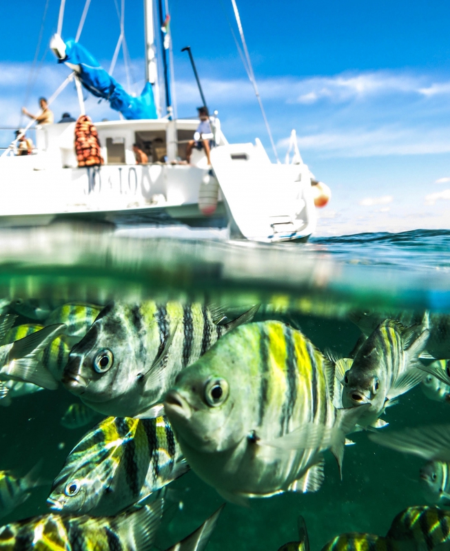 Catamaran & Reef Snorkel - Catamaran & Reef Snorkel - Jueves de Adrenalina