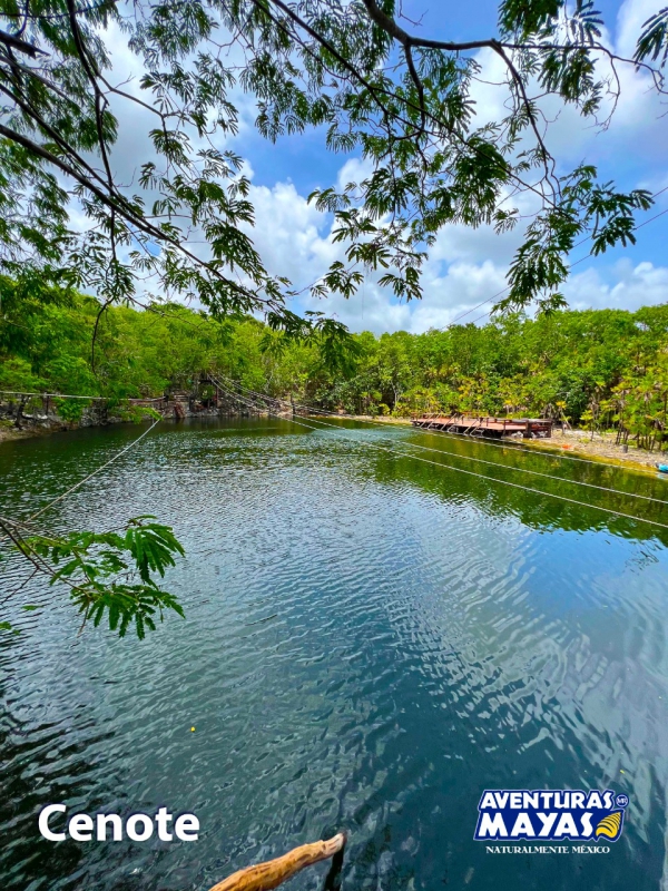 Cenote Experience