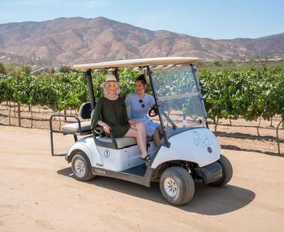 Tour and Tasting in a Golf Cart