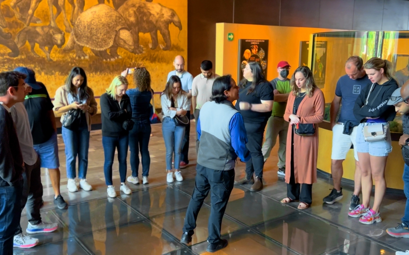 Guided tour to Chapultepec Castle & the National Museum of Anthropology