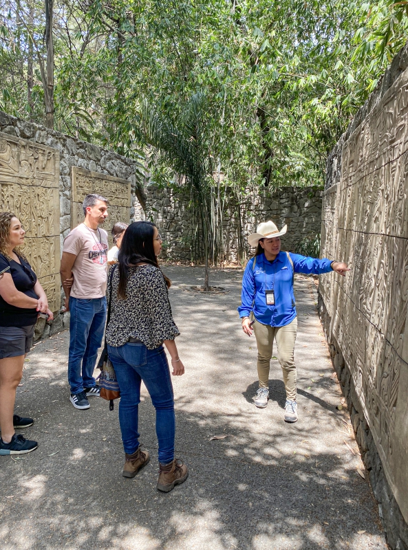 Guided tour to the National Museum of Anthropology