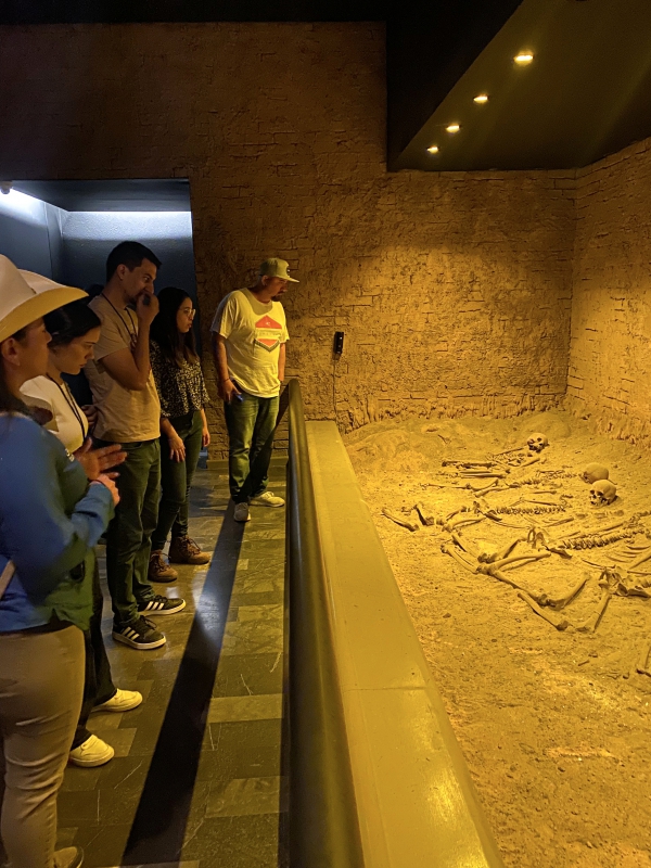 Guided tour to the National Museum of Anthropology