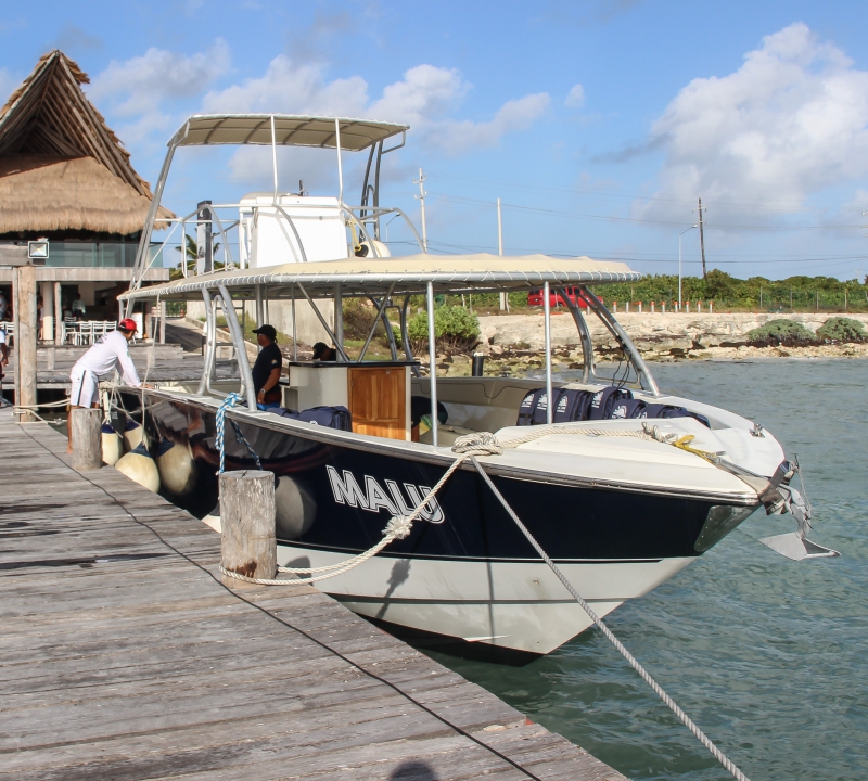 Isla Contoy & Isla Mujeres