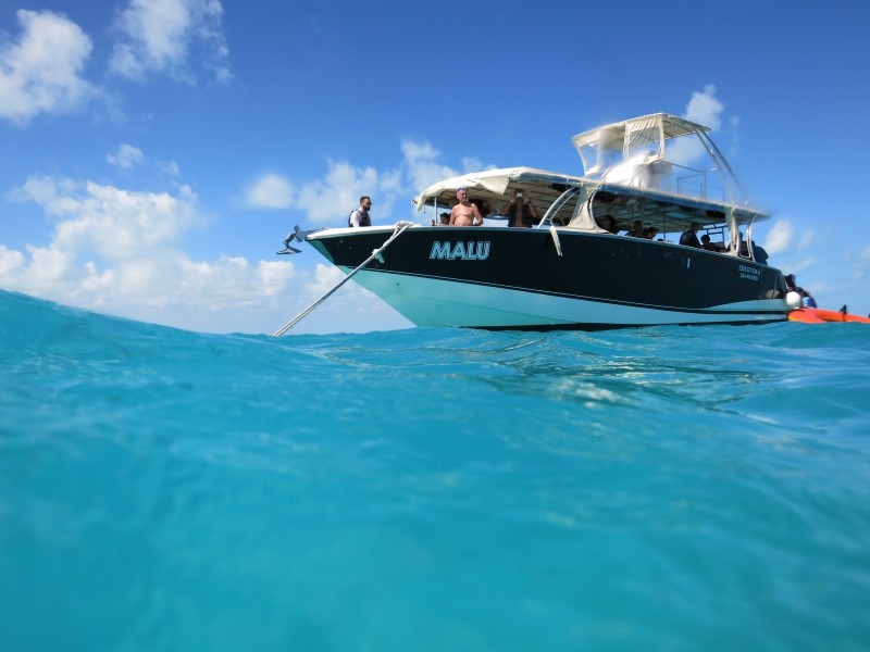 Isla Contoy & Isla Mujeres