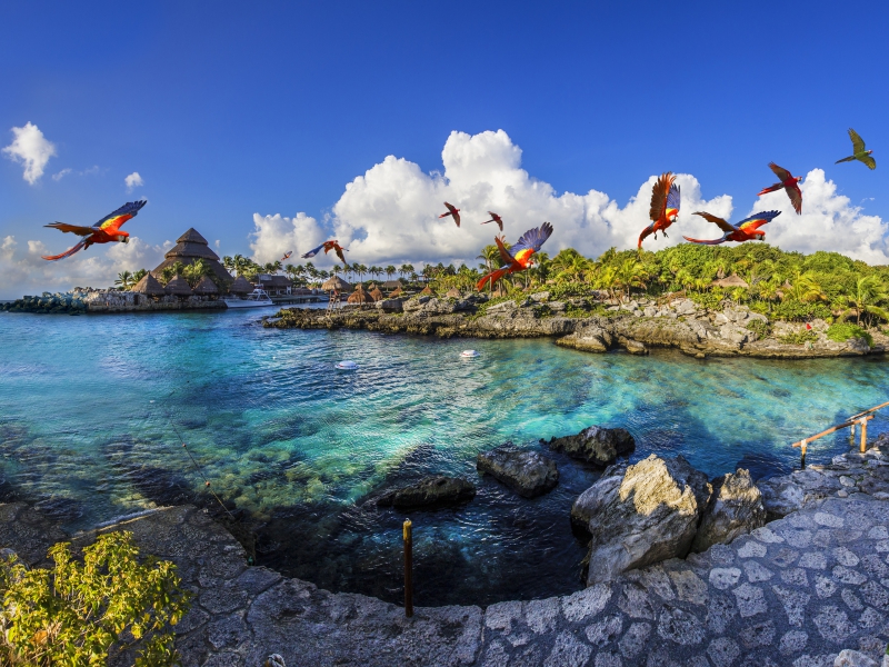 Paquete Xcaret + Xplor