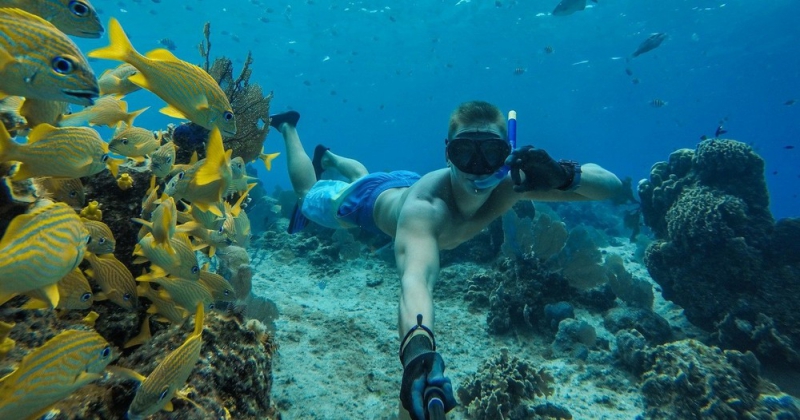 Snorkel Tour Puerto Morelos