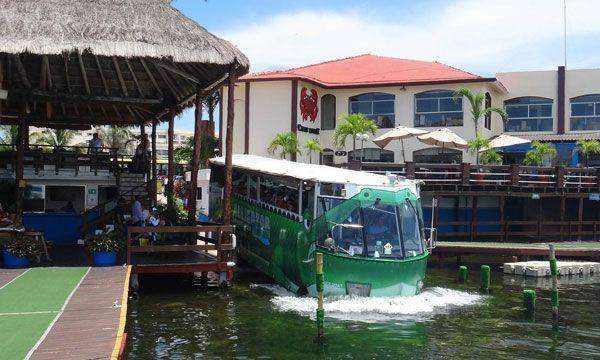 Alligator Tour