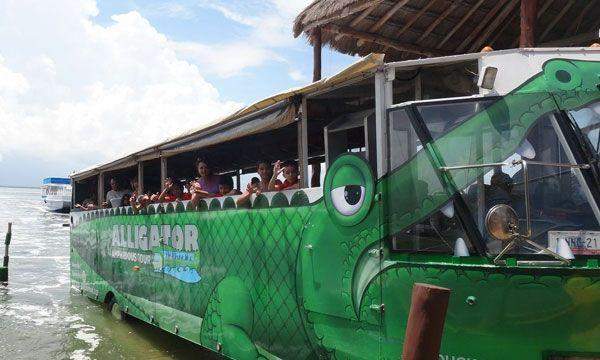 Alligator Tour