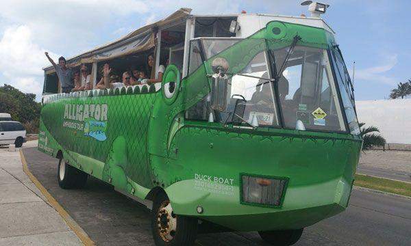 Alligator Tour