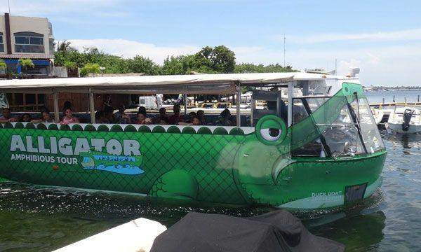Alligator Tour