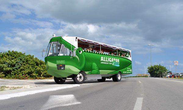 Alligator Tour
