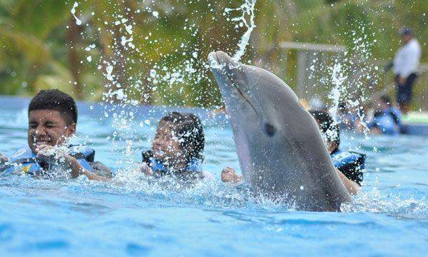 Catamaran & Dolphin Swim Adventure