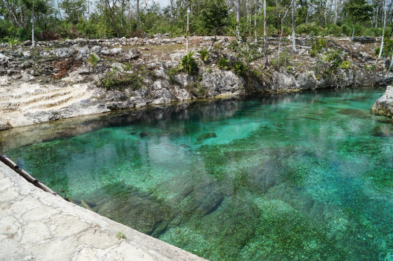 Tulum Cenote Riviera Maya 